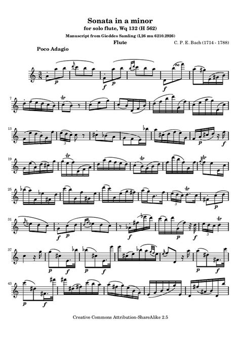 Accademia Ottoboni - Bach Flute Sonata in D Major, H. . Cpe bach flute sonata in a minor imslp